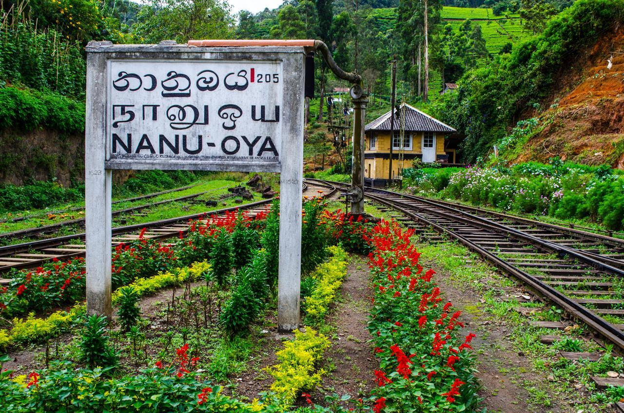 The Train View Bed & Breakfast Nuwara Eliya Dış mekan fotoğraf